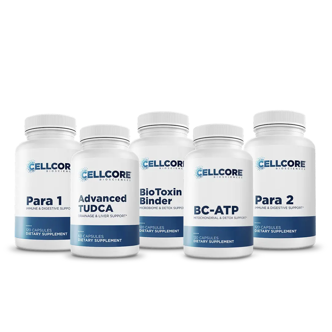 CellCore Comprehensive Protocol Phase Two (Need: One For Month 2 and One For Month 3)