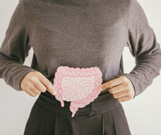 Your Gut Controls Everything: 4 Supplements That Keep It Healthy