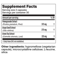 Pendulum Polyphenol Booster 60 Count