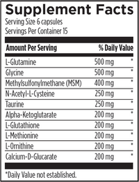 Designs For Health Amino Detox (90 Count)