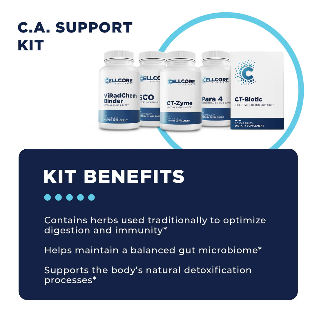 C.A. Support Protocol (Gut Support)