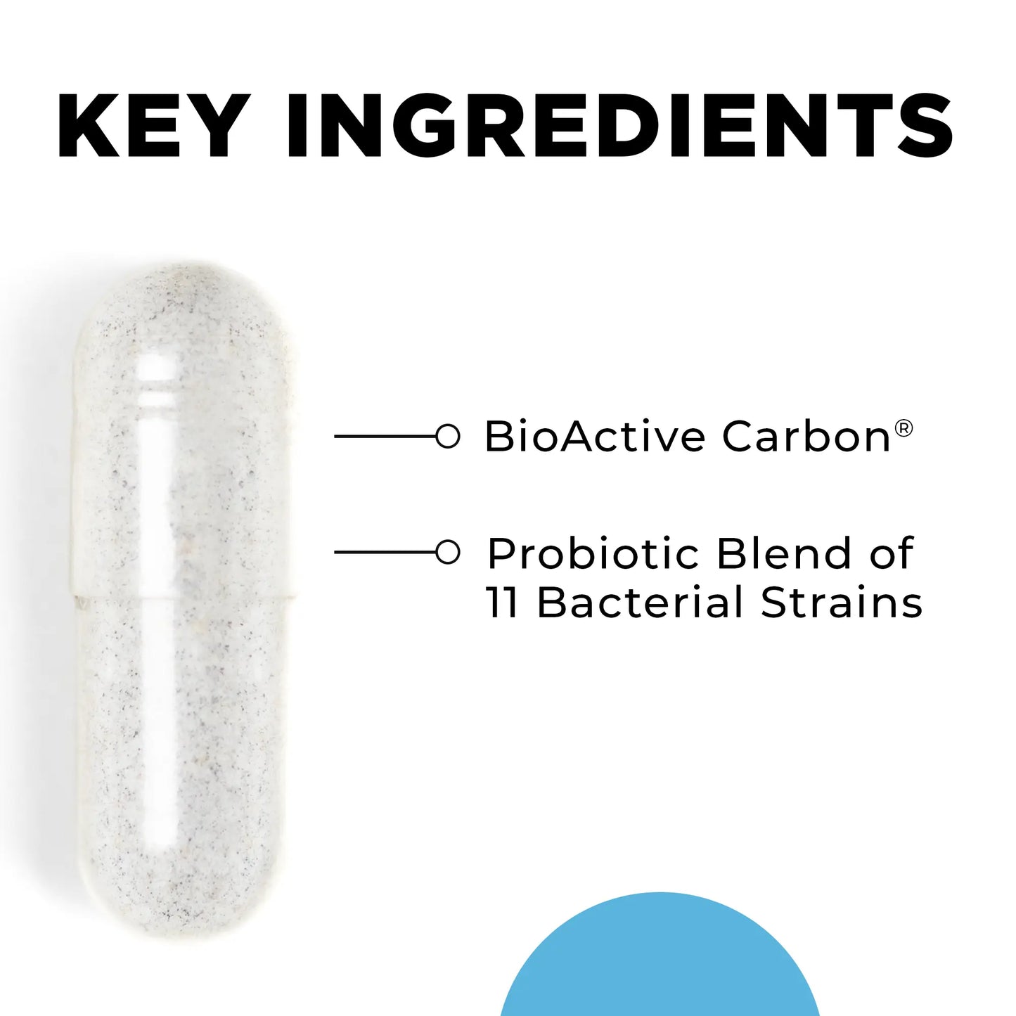 CellCore CT-Biotic (Probiotic)