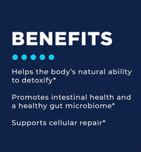 Cellcore HM-ET Binder