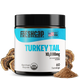 Organic Turkey Tail Mushroom Powder